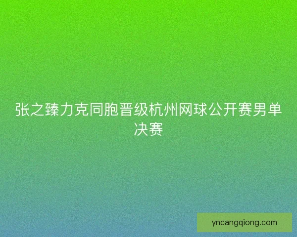 张之臻力克同胞晋级杭州网球公开赛男单决赛