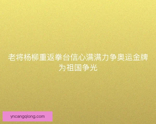 老将杨柳重返拳台信心满满力争奥运金牌为祖国争光